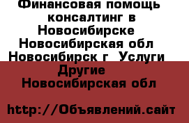 Финансовая помощь, консалтинг в Новосибирске - Новосибирская обл., Новосибирск г. Услуги » Другие   . Новосибирская обл.